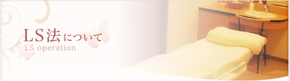 LS法について
